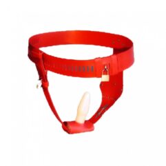 CHASTITY LOCK DEVICE FOR WOMEN-product of delhisextoystore